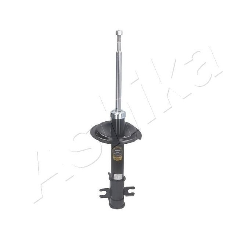 ASHIKA Ammortizzatore MA-00166