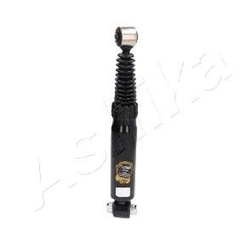 Ashika Ashika Ma-00368