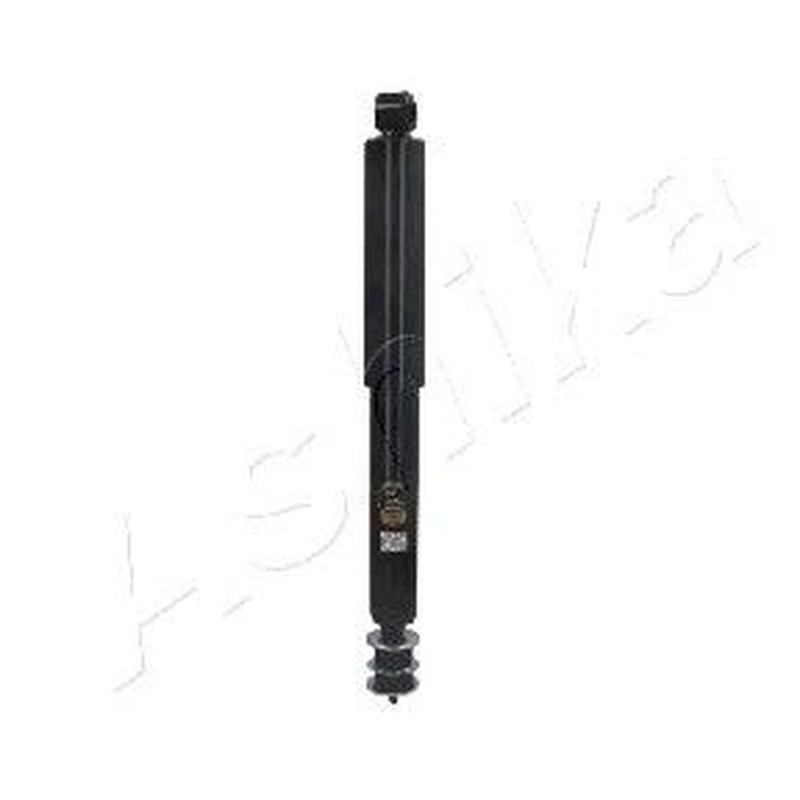 Ashika Ashika Ma-00640
