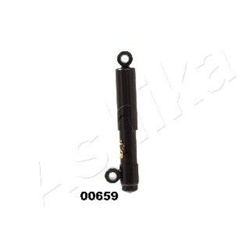 Ashika Ashika Ma-00659