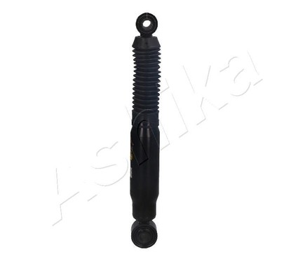 Ashika Ashika Ma-00660