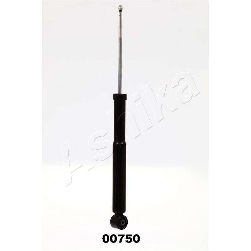 Ashika Ashika Ma-00750
