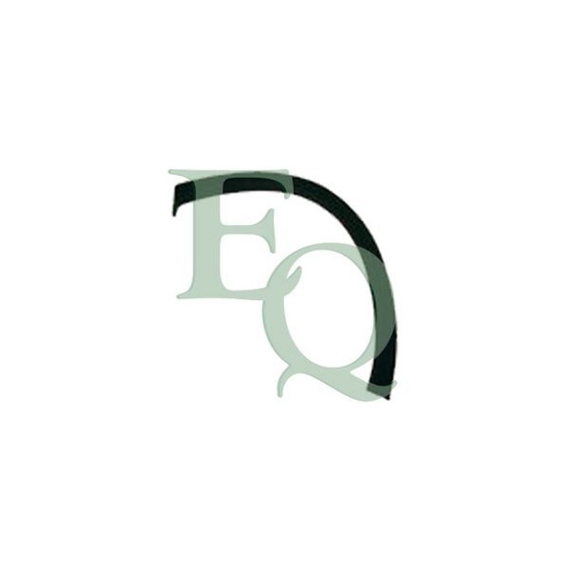 Equal Quality Parafanghino Ant P1981