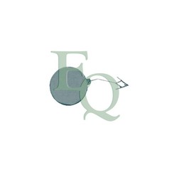 Equal Quality Tappo Gancio Traino Post Audi A6 11 Cp P5241 per ripristinare il corretto funzionamento del componente