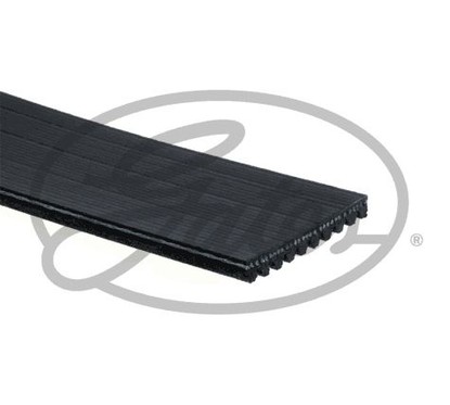 GATES Cinghia Poly-V 10PK1545HD