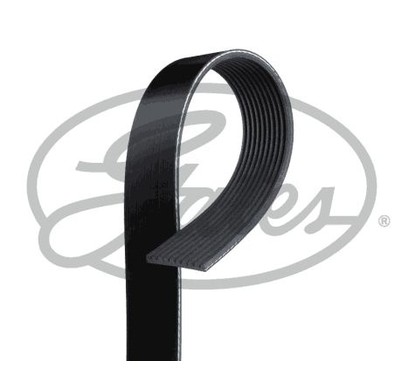Gates 10Pk2253 Micro-V Horizon Mercedes 10Pk2253 per ripristinare il corretto funzionamento del componente