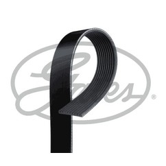 GATES Cinghia Poly-V 10PK2500HD per ripristinare il corretto funzionamento del componente
