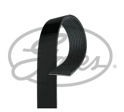 GATES Cinghia Poly-V 11PK1920HD per ripristinare il corretto funzionamento del componente