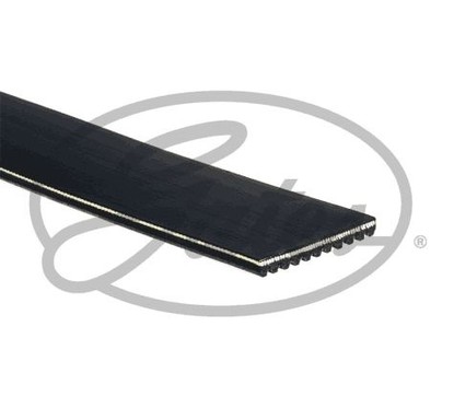 GATES Cinghia Poly-V 11PK1920HD