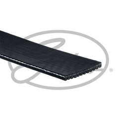 GATES Cinghia Poly-V 12PK1835HD