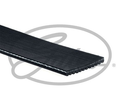GATES Cinghia Poly-V 12PK1835HD