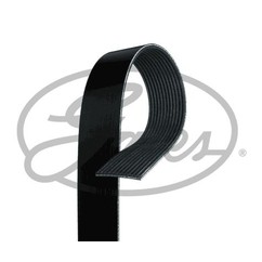 GATES Cinghia Poly-V 12PK1870HD per ripristinare il corretto funzionamento del componente