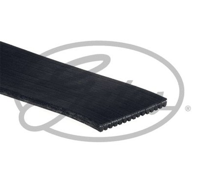 GATES Cinghia Poly-V 15PK938HD
