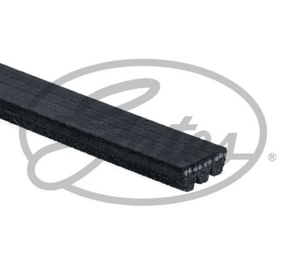 Cinghia Poly-V Gates 3Pk668 Per Fiat, Nissan