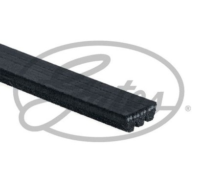 GATES Cinghia Poly-V 3PK775SF