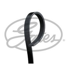 GATES Cinghia Poly-V 4PK798SF per ripristinare il corretto funzionamento del componente