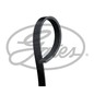 GATES Cinghia Poly-V 4PK798SF