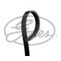 Gates Cinghia Ducato-Jumper Transit 4Pk922Sf