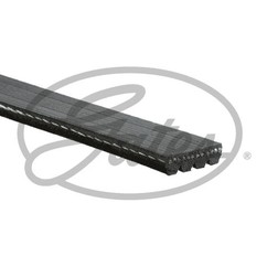 Gates Cinghia Ducato-Jumper Transit 4Pk922Sf