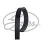 GATES Cinghia Poly-V 5PK1188