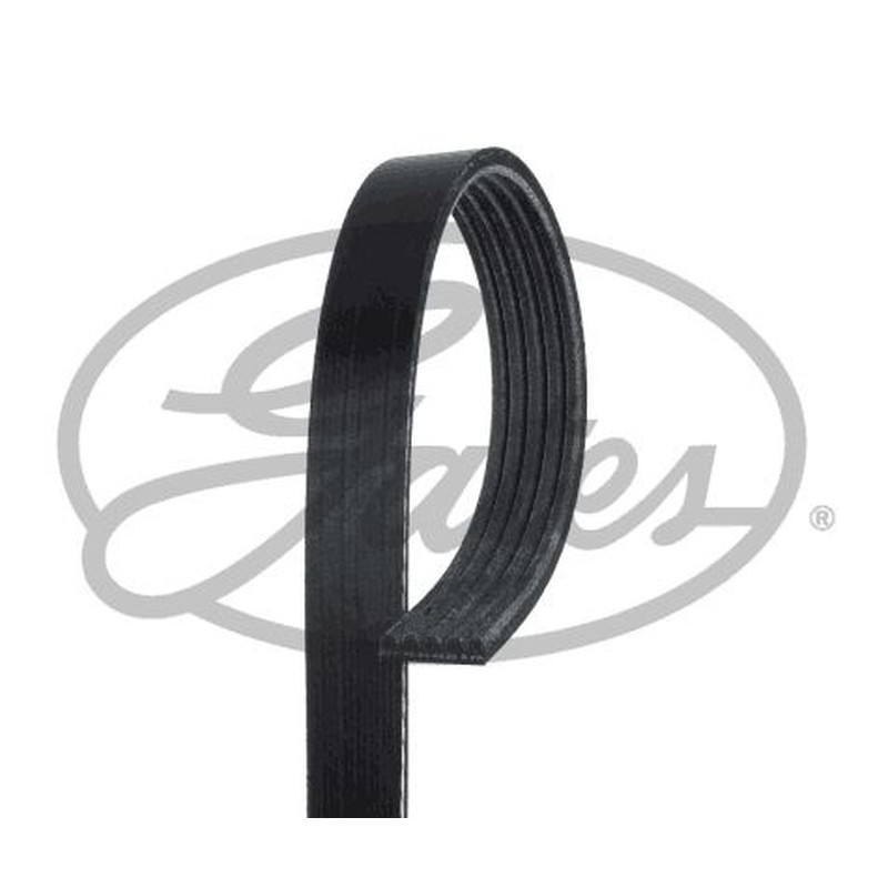 Gates Alpine V6 Ferrari 456 Gt Mitsubishi Carisma (Da_) 5Pk1330