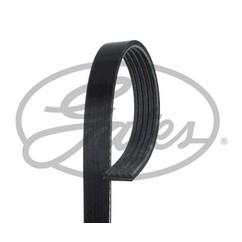 Gates 5Pk628-620Sf Mv Horizon Sf 5Pk628-620Sf per ripristinare il corretto funzionamento del componente