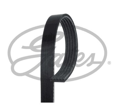 Gates 5Pk628-620Sf Mv Horizon Sf 5Pk628-620Sf per ripristinare il corretto funzionamento del componente