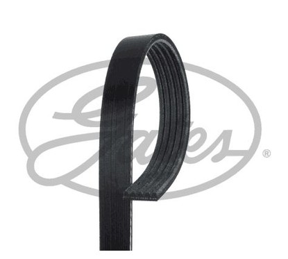GATES Cinghia Poly-V 5PK748SF per ripristinare il corretto funzionamento del componente