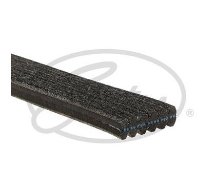 Cingia Poly-V GATES VW Golf IV (1J1, 1J5)