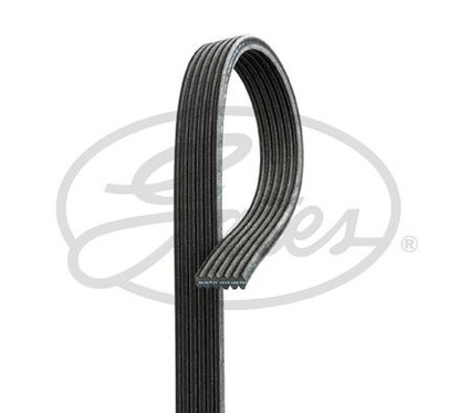 Gates Cinghia Micro V 6Dp2215 6Dpk2215 per ripristinare il corretto funzionamento del componente
