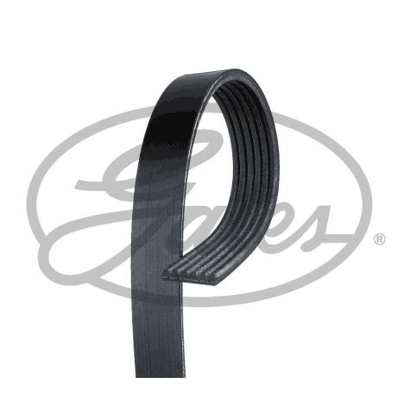 Gates Audi A2 (8Z0) A3 (8P1) A3 Sportback (8Pa) Bmw 5 (E 6Pk1088