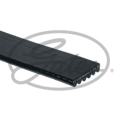 Gates Nessuna Descrizione 6Pk1220