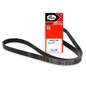 Gates Fiat Punto (188) Punto Van (188Ax) Ford Scorpio I 6Pk1228