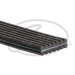 Gates Bmw 7Dpk1880