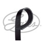 GATES Cinghia Poly-V 7PK1236