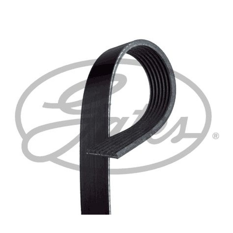 Gates Cinghia 7Pk2683