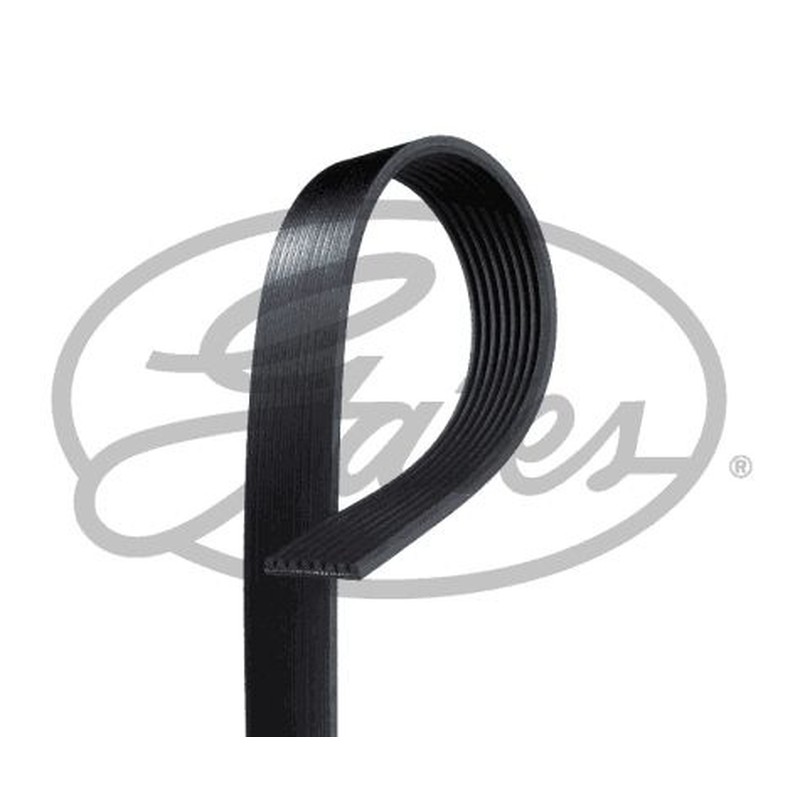 GATES Cinghia Poly-V 8PK1655HD