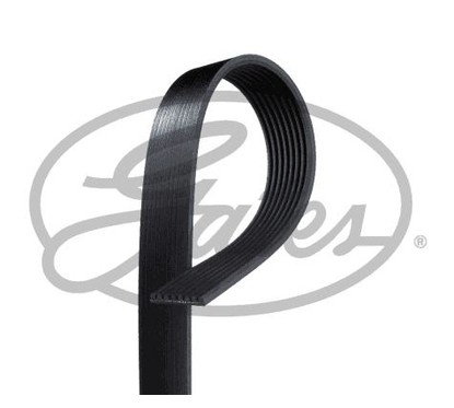 GATES Cinghia Poly-V 8PK1852HD per ripristinare il corretto funzionamento del componente