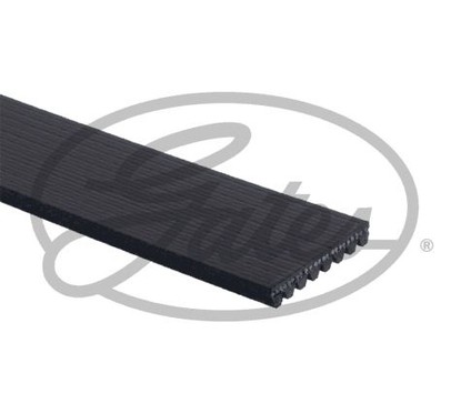 Gates Cinghia 8Pk2093