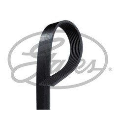GATES Cinghia Poly-V 8PK2220HD per ripristinare il corretto funzionamento del componente