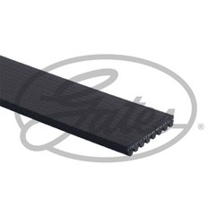 Gates Jeep Grand Cherokee Ii (Wj, Wg) 8Pk2485