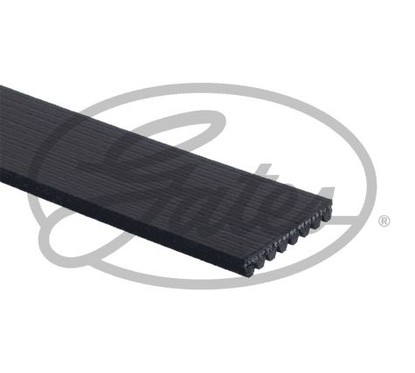 GATES Cinghia Poly-V 8PK2553HD