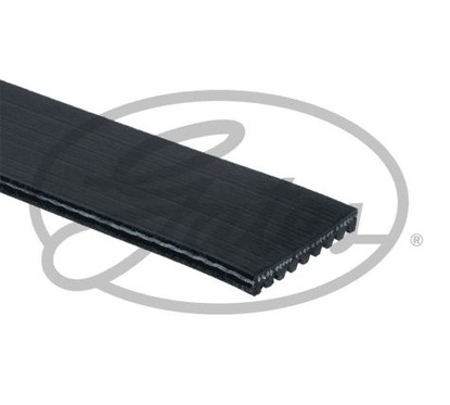 GATES Cinghia Poly-V 9PK1675HD