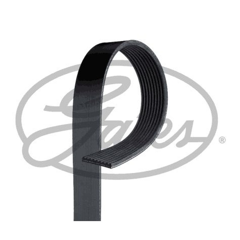 GATES Cinghia Poly-V 9PK2870HD