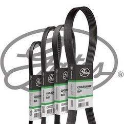 GATES Cinghia Poly-V CB0073 per ripristinare il corretto funzionamento del componente