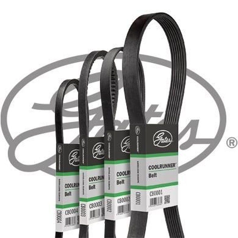 GATES Cinghia Poly-V CB0073
