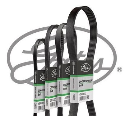 GATES Cinghia Poly-V CB0073 per ripristinare il corretto funzionamento del componente