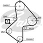 Kit Cinghie Dentate Gates K015486Xs Renault