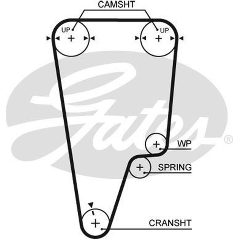 Gates Honda Cr-V I (Rd) K015505Xs