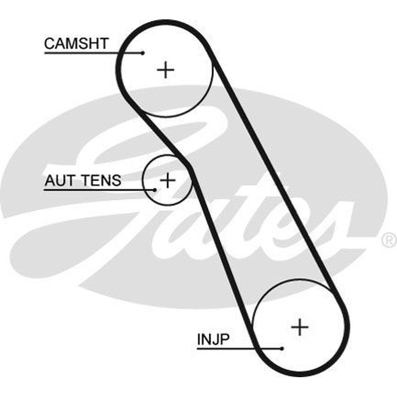Kit Cinghie Dentate Gates K015559Xs Per Ford